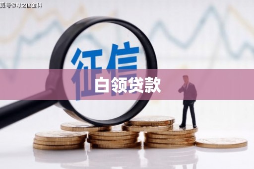 中原白领贷款
