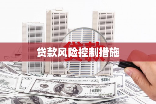 中原贷款风险控制措施
