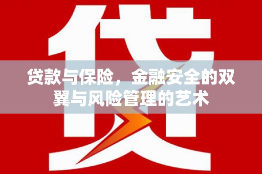 中原贷款与保险，金融安全的双翼与风险管理的艺术