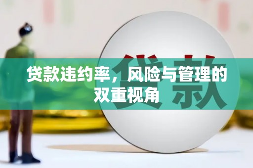 中原贷款违约率，风险与管理的双重视角