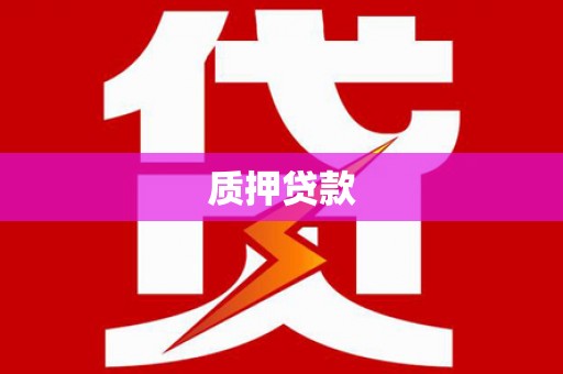 中原质押贷款