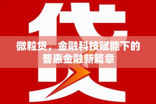 中原微粒贷，金融科技赋能下的普惠金融新篇章