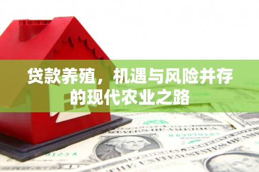 中原贷款养殖，机遇与风险并存的现代农业之路