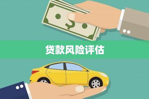 中原贷款风险评估
