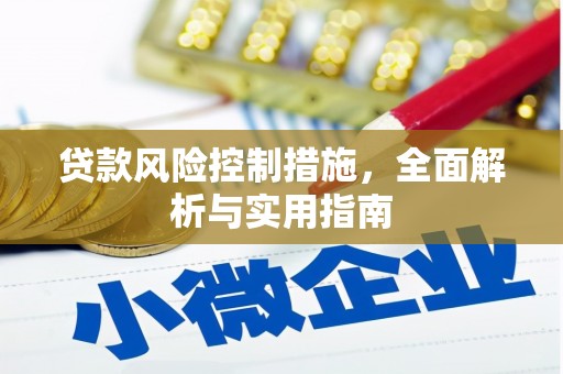 中原贷款风险控制措施，全面解析与实用指南