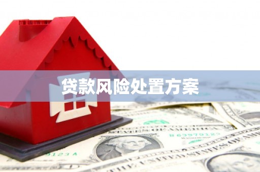 中原贷款风险处置方案