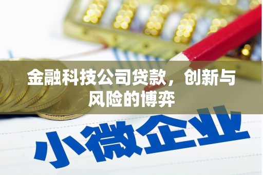 中原金融科技公司贷款，创新与风险的博弈