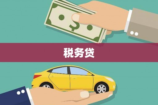 中原税务贷