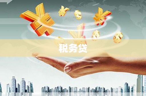 中原税务贷