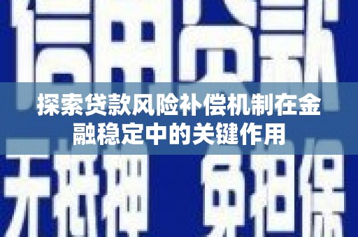 中原探索贷款风险补偿机制在金融稳定中的关键作用