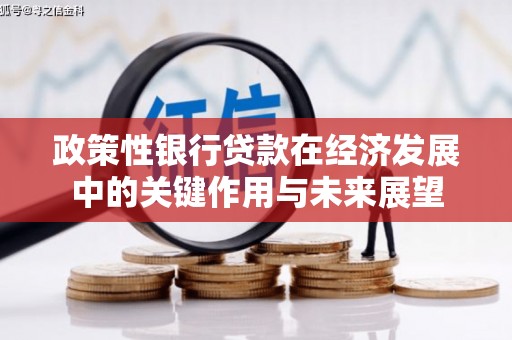 中原政策性银行贷款在经济发展中的关键作用与未来展望