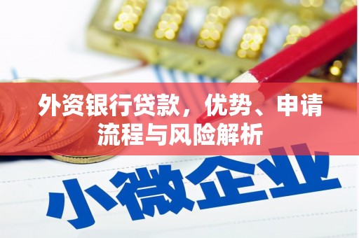 中原外资银行贷款，优势、申请流程与风险解析