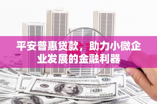 中原平安普惠贷款，助力小微企业发展的金融利器