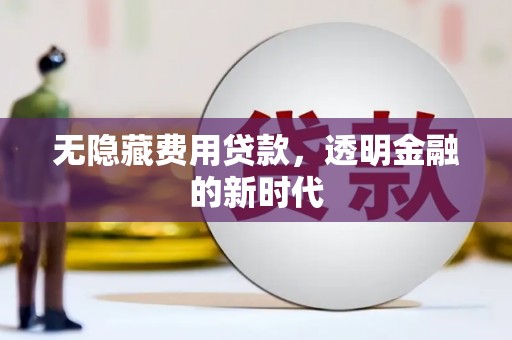 中原无隐藏费用贷款，透明金融的新时代