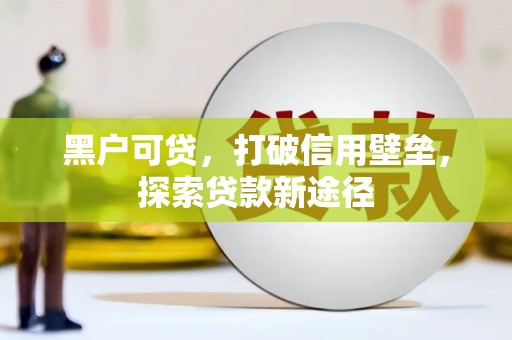 中原黑户可贷，打破信用壁垒，探索贷款新途径