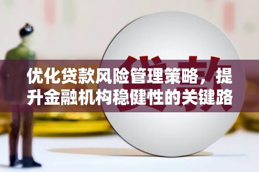 中原优化贷款风险管理策略，提升金融机构稳健性的关键路径