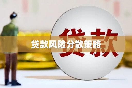 中原贷款风险分散策略