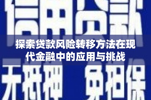中原探索贷款风险转移方法在现代金融中的应用与挑战