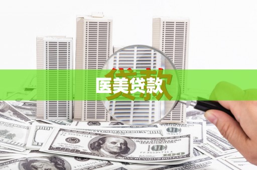 中原医美贷款