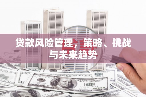 中原贷款风险管理，策略、挑战与未来趋势