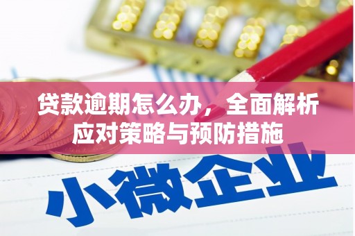 中原贷款逾期怎么办，全面解析应对策略与预防措施