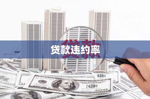 中原贷款违约率