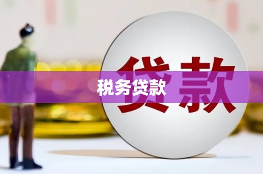 中原税务贷款