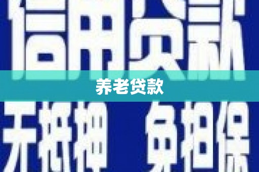 中原养老贷款