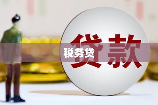 中原税务贷
