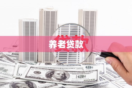 中原养老贷款