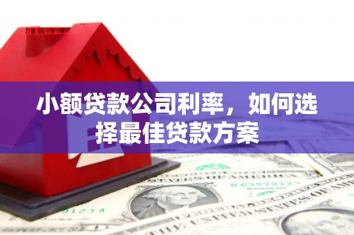 中原小额贷款公司利率，如何选择最佳贷款方案
