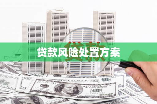 中原贷款风险处置方案