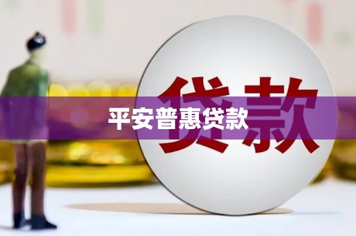 中原平安普惠贷款