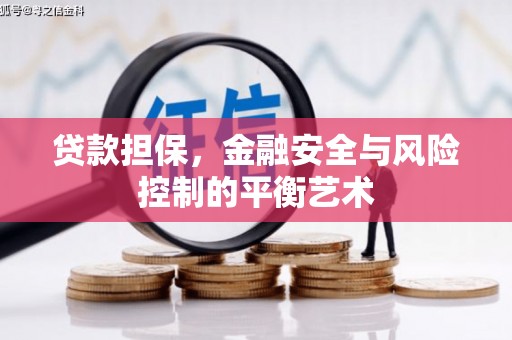 中原贷款担保，金融安全与风险控制的平衡艺术
