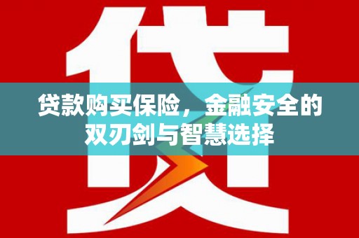 中原贷款购买保险，金融安全的双刃剑与智慧选择