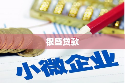 中原银盛贷款