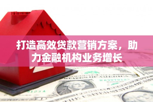 中原打造高效贷款营销方案，助力金融机构业务增长