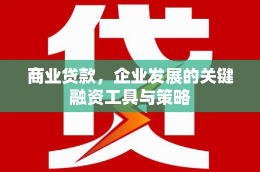 中原商业贷款，企业发展的关键融资工具与策略