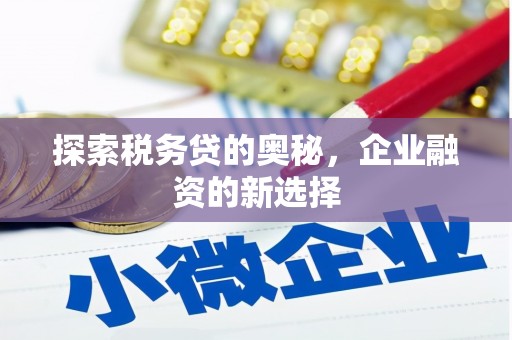中原探索税务贷的奥秘，企业融资的新选择
