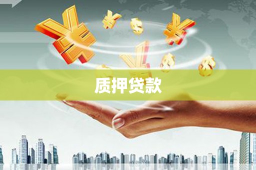 中原质押贷款