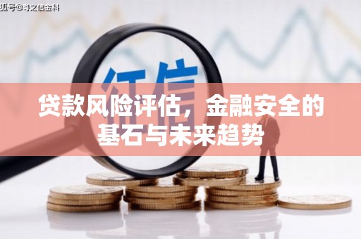 中原贷款风险评估，金融安全的基石与未来趋势