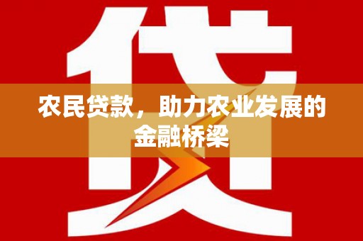 中原农民贷款，助力农业发展的金融桥梁