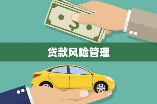 中原贷款风险管理