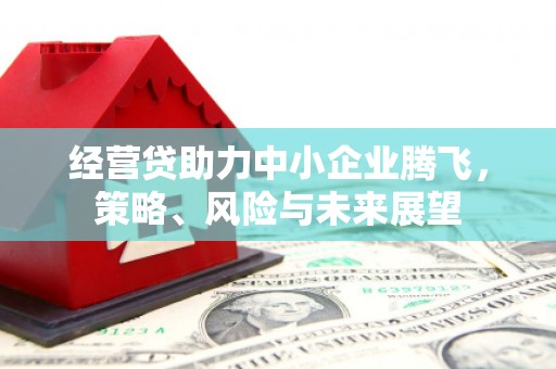 中原经营贷助力中小企业腾飞，策略、风险与未来展望