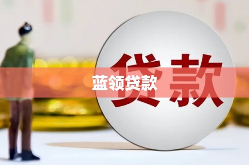 中原蓝领贷款