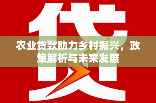 中原农业贷款助力乡村振兴，政策解析与未来发展