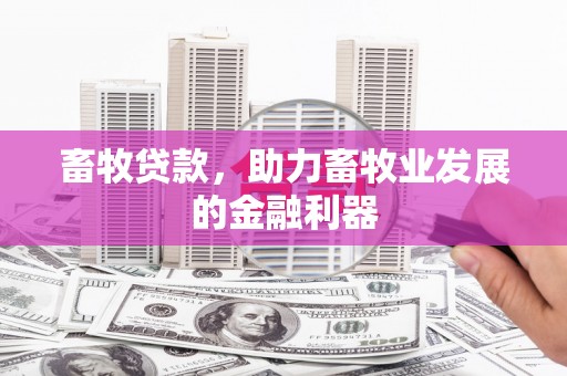 中原畜牧贷款，助力畜牧业发展的金融利器