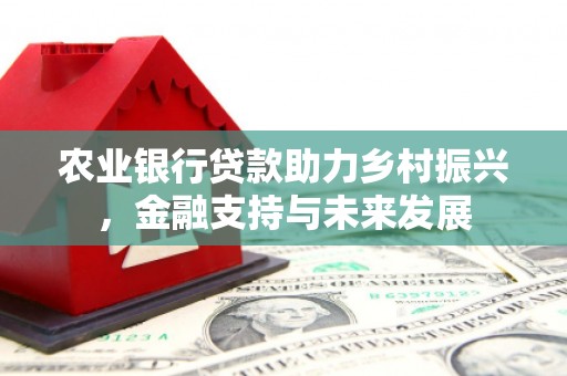 中原农业银行贷款助力乡村振兴，金融支持与未来发展