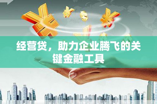 中原经营贷，助力企业腾飞的关键金融工具