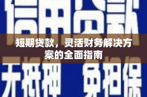 中原短期贷款，灵活财务解决方案的全面指南